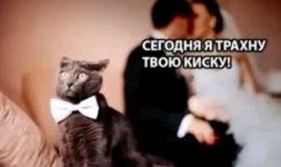 Screenshot_20260126_132457.jpg Screenshot_20260126_132457.jpg