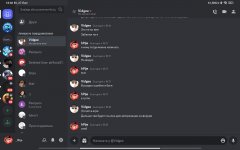 Screenshot_2024-02-27-18-40-32-736_com.discord.jpg