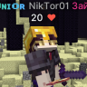 NikTor