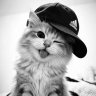 Mirov_yt